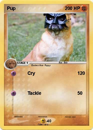 Pokemon Pup