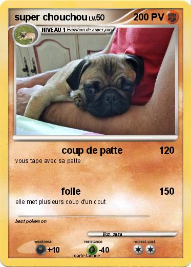 Pokemon super chouchou