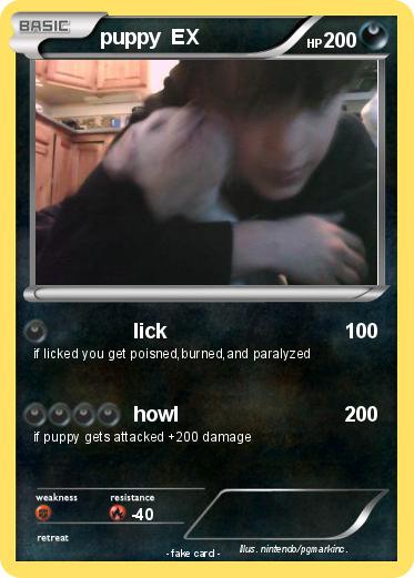 Pokemon puppy  EX