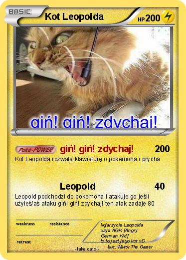 Pokemon Kot Leopolda