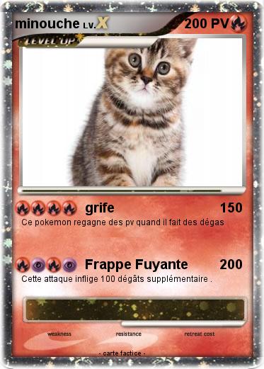 Pokemon minouche