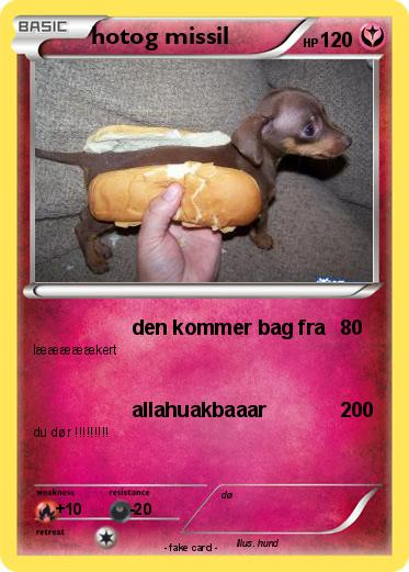 Pokemon hotog missil