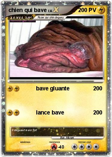 Pokemon chien qui bave