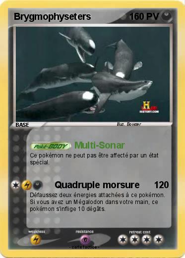 Pokemon Brygmophyseters
