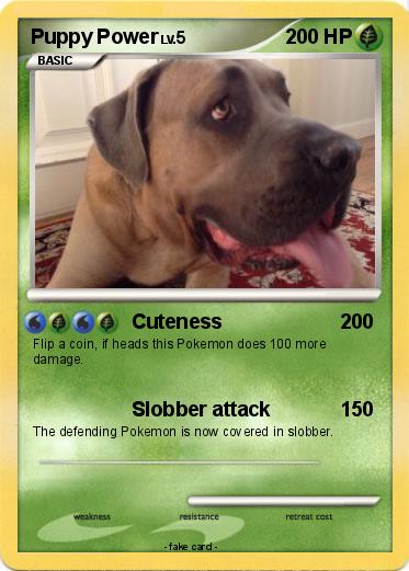 Pokemon Puppy Power