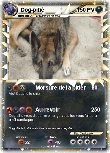 Pokemon Dog-pitié