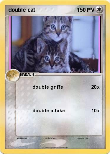 Pokemon double cat
