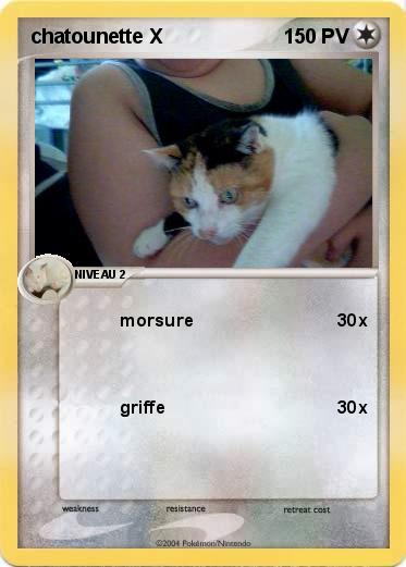 Pokemon chatounette X