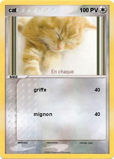 Pokemon cat