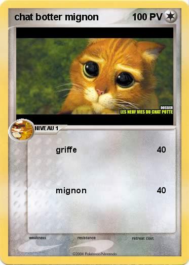 Pokemon chat botter mignon