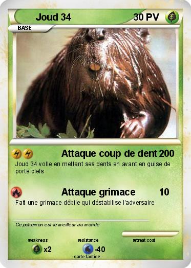 Pokemon Joud 34
