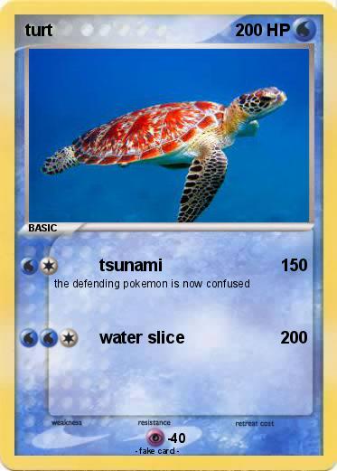 Pokemon turt