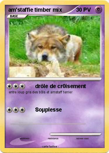 Pokemon am'staffie timber mix