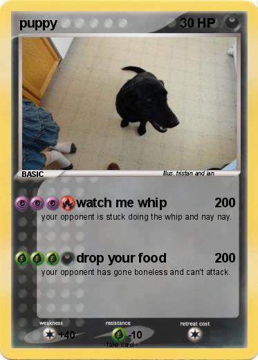 Pokemon puppy