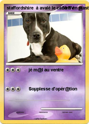 Pokemon staffordshire  à avalé le canard en plastique