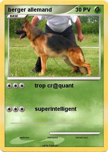 Pokemon berger allemand