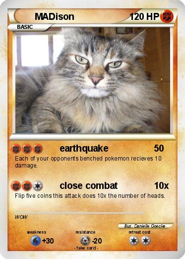 Pokemon MADison