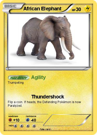 Pokemon African Elephant