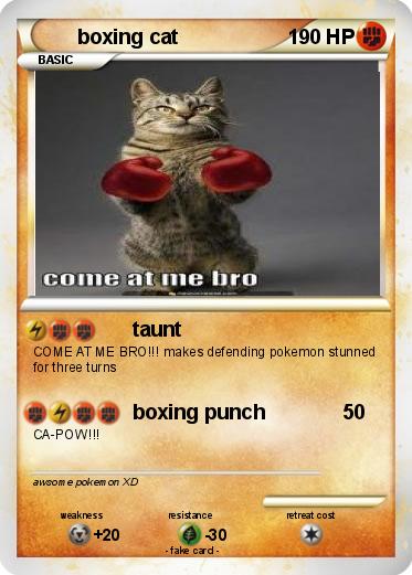 Pokemon boxing cat