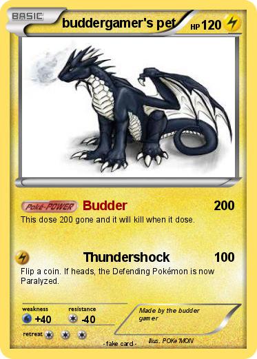 Pokemon buddergamer's pet