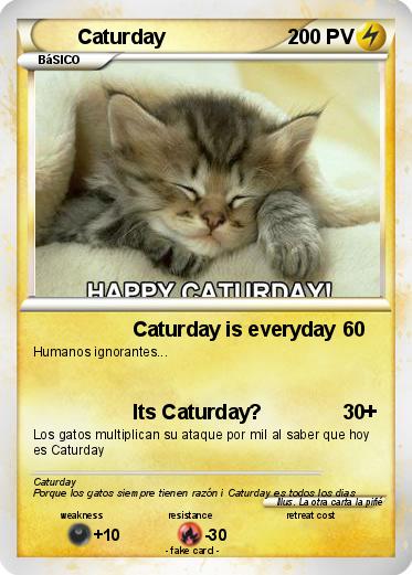 Pokemon Caturday