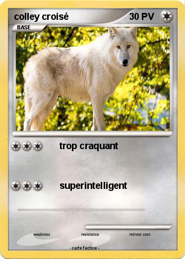 Pokemon colley croisé