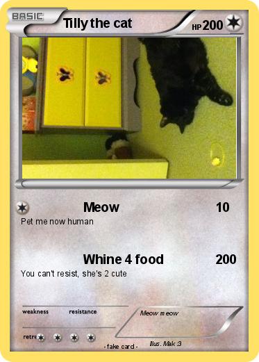 Pokemon Tilly the cat