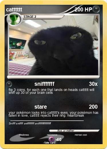 Pokemon catttttt