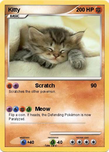 Pokemon Kitty