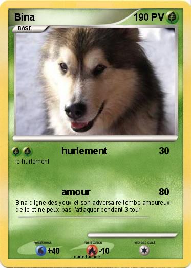 Pokemon Bina
