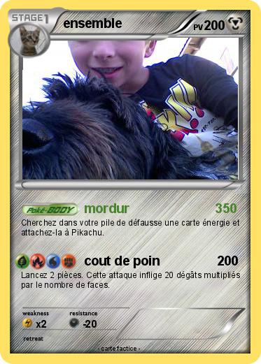 Pokemon ensemble