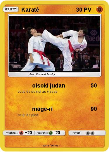 Pokemon Karaté