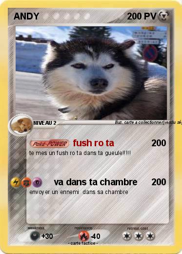 Pokemon ANDY