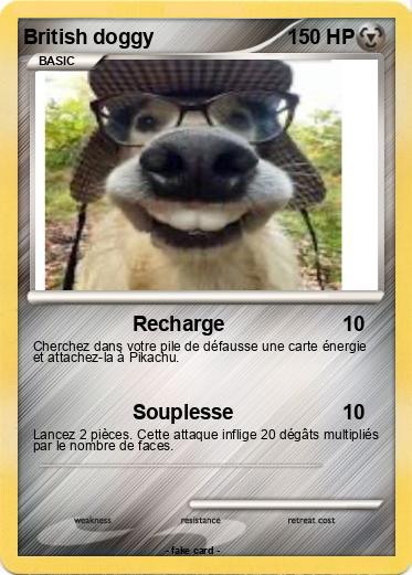 Pokemon British doggy