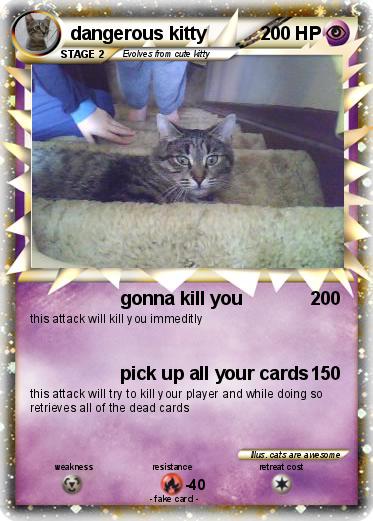Pokemon dangerous kitty