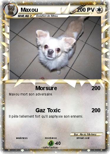 Pokemon Maxou