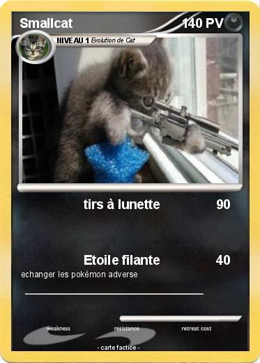 Pokemon Smallcat