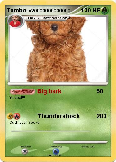 Pokemon Tambo