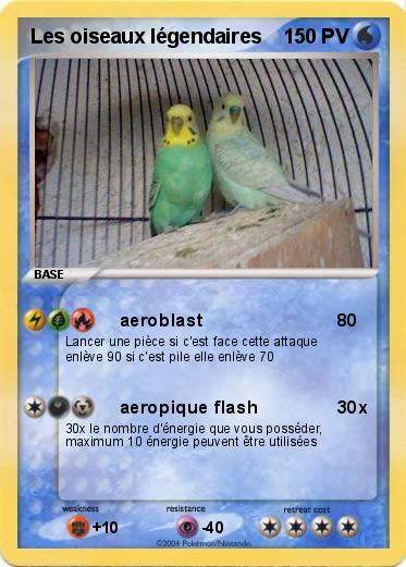 Pokemon Les oiseaux légendaires