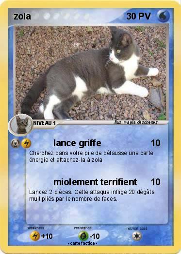 Pokemon zola