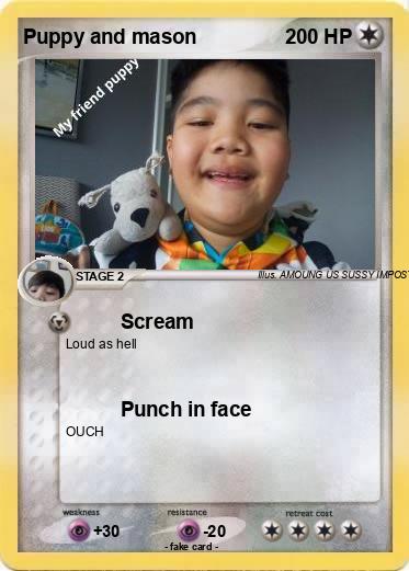 Pokemon Puppy and mason
