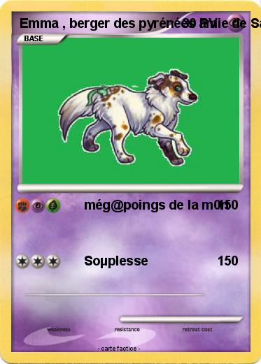 Pokemon Emma , berger des pyrénées amie de Sasuke