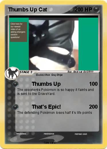 Pokemon Thumbs Up Cat