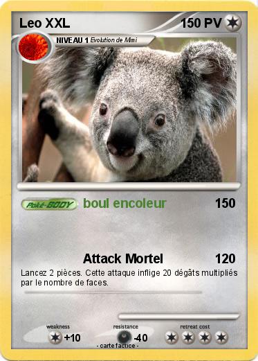 Pokemon Leo XXL