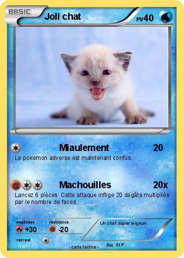 Pokemon Joli chat