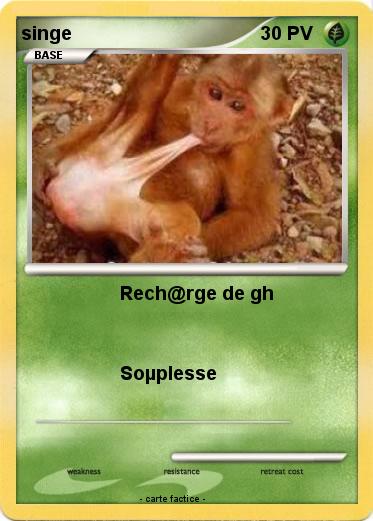 Pokemon singe