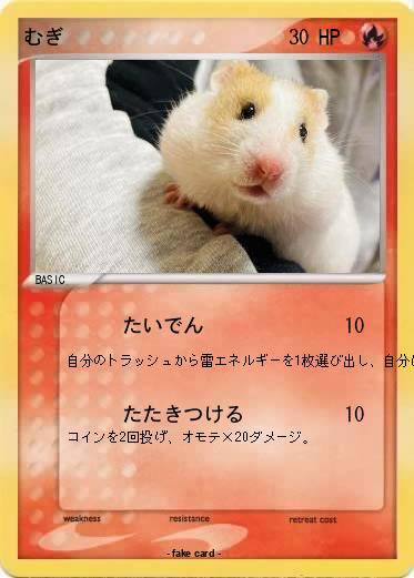 Pokemon むぎ