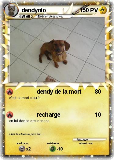 Pokemon dendynio
