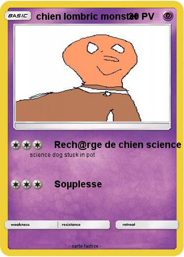 Pokemon chien lombric monster