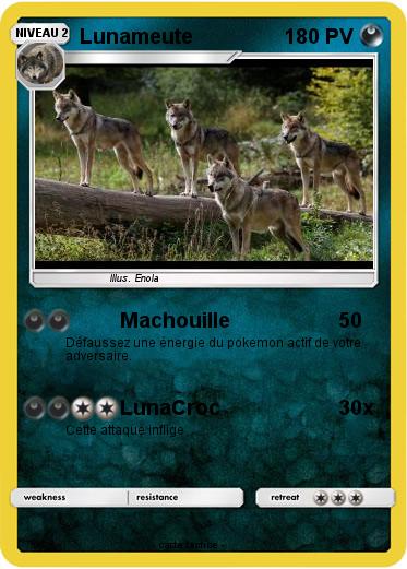 Pokemon Lunameute